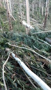 Equipes ágeis: pontos sem energia são restabelecidos após tempestade e ventos