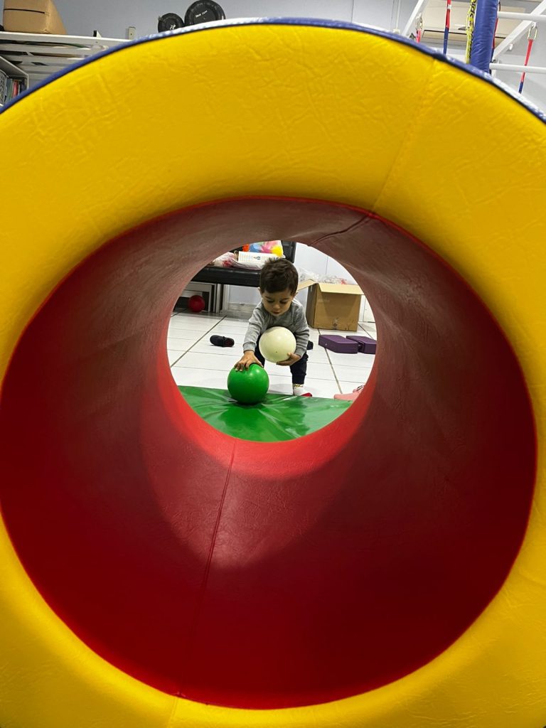 Associação de Pais e Amigos dos Excepcionais – APAE