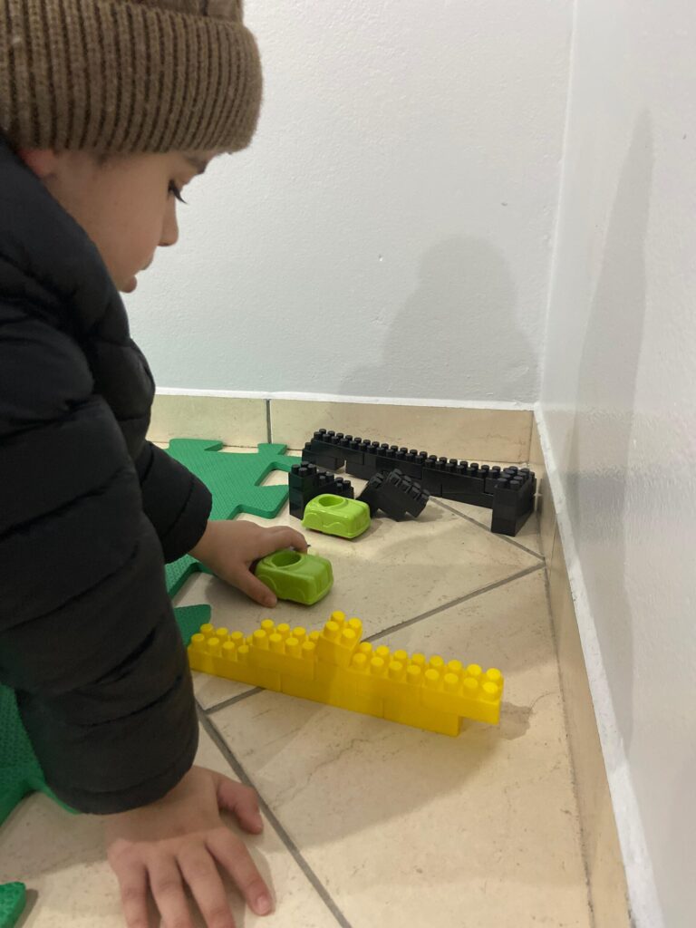 Associação Nova Era do Autismo – ANEA