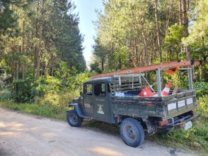 EQUIPE ESPECIALIZADA EM PODA INICIA TRABALHOS EM RIO FORTUNA