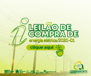 LEILÃO DE COMPRA DE ENERGIA ELÉTRICA