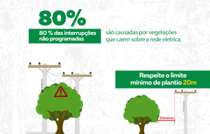 Trabalho de poda de árvores ajuda a evitar acidentes na rede elétrica