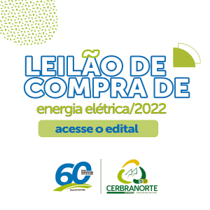 LEILÃO DE COMPRA DE ENERGIA ELÉTRICA